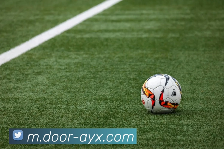 爱游戏服务体系